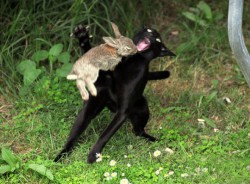 noradolan profile photo