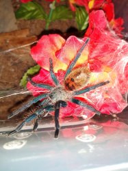 breesmama13 profile photo