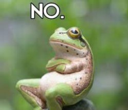 wawadreamer profile photo