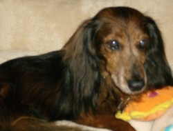 AliciaLynn profile photo