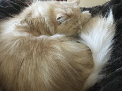 sports2160 profile photo