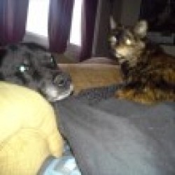 Pkubica13 profile photo