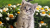 Lenaschlamp profile photo