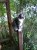 habbycat profile photo